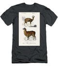 Alpaca Vicugna Pacos and Antilope Guib Illustrated By Charles Dessalines D Orbigny 1806 1876 Les Classics T-Shirt