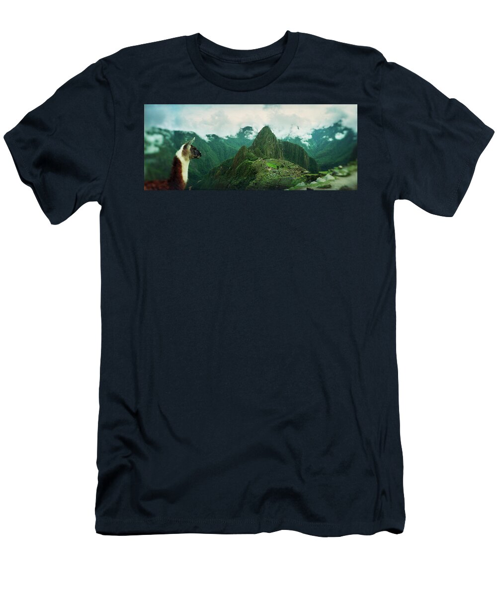 Alpaca Vicugna Pacos on a Mountain Animal Images T-Shirt