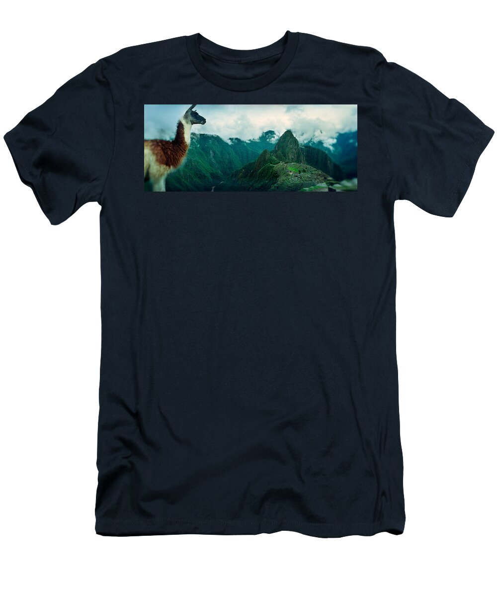 Alpaca Vicugna Pacos on a Mountain Panoramic Images T-Shirt