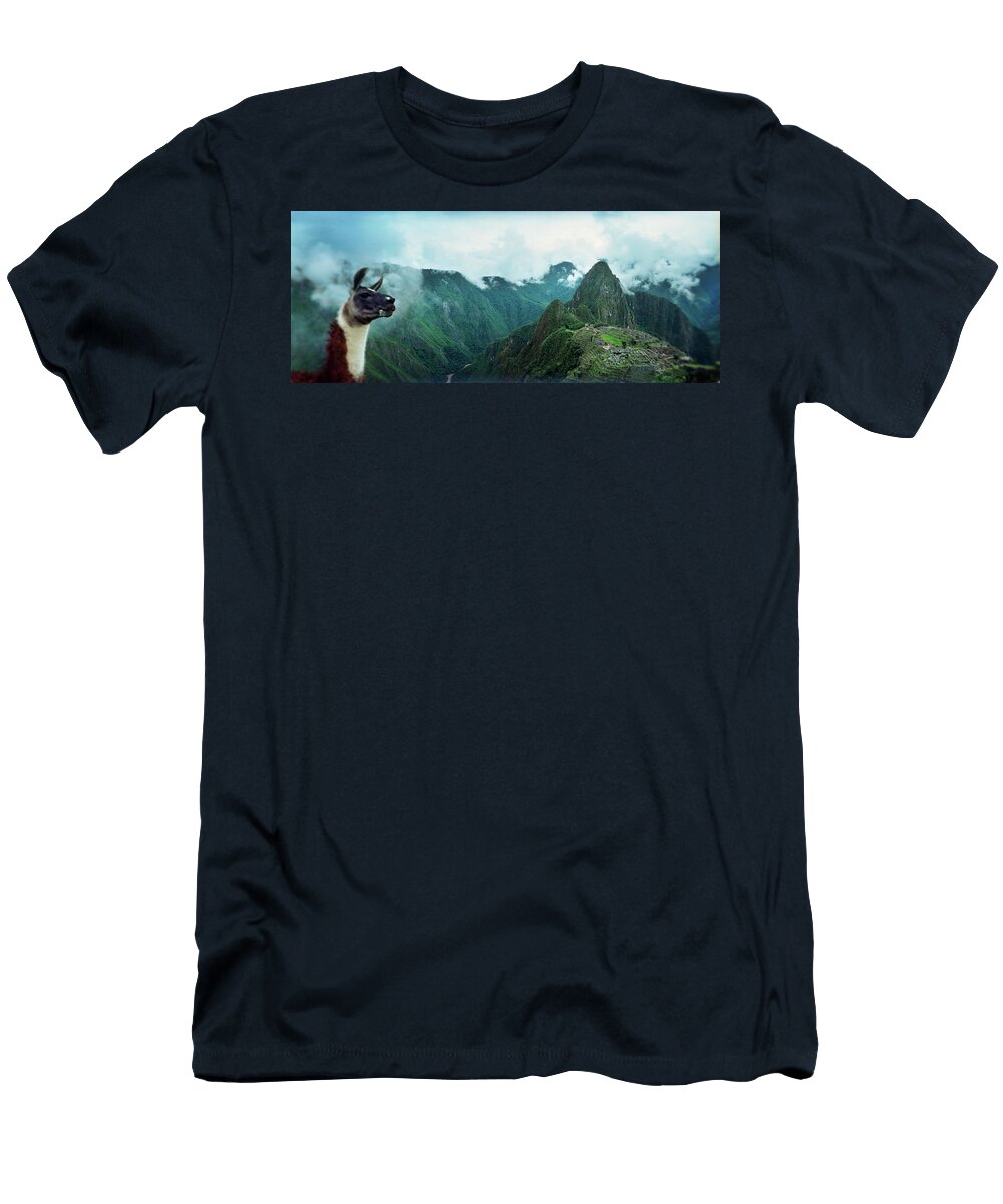 Alpaca Vicugna Pacos with an Animal Images T-Shirt