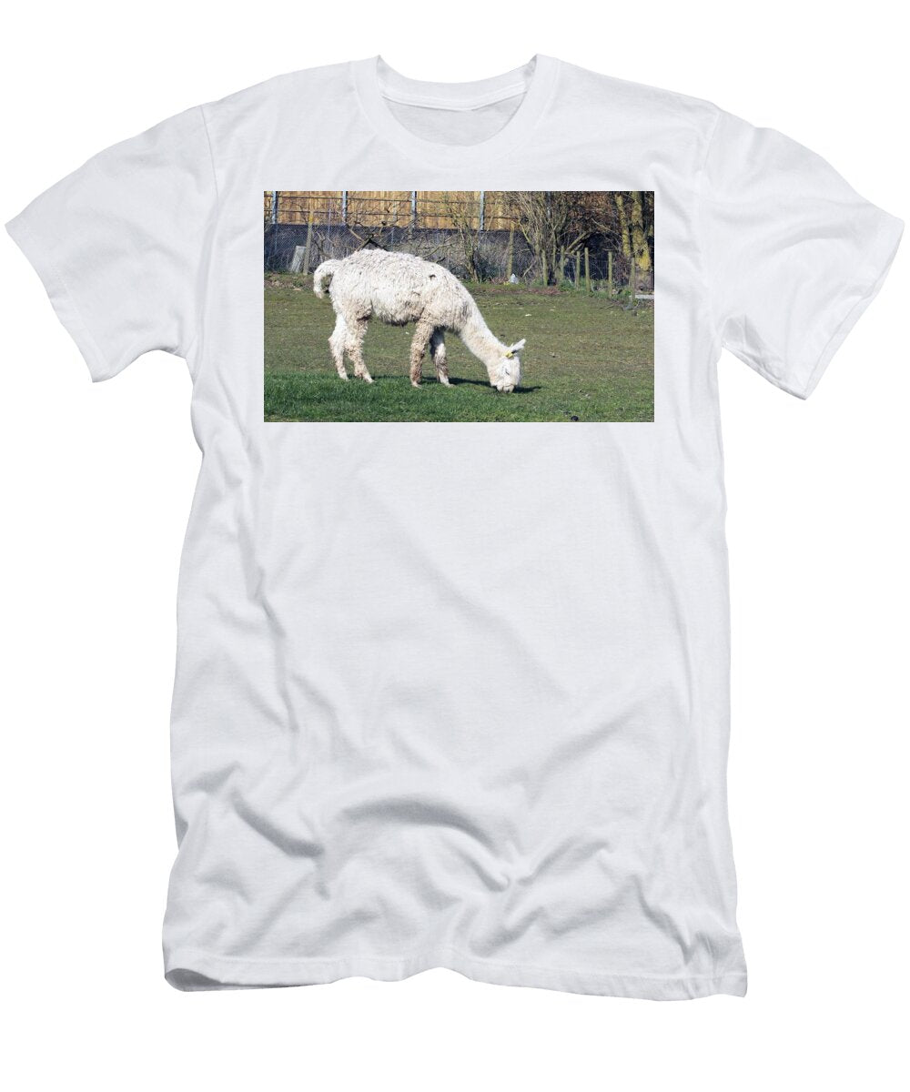 Alpaca W2 Les Classics T-Shirt