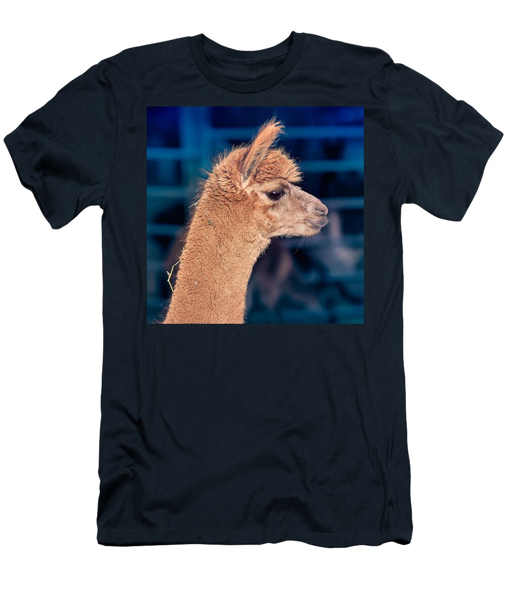 Alpaca Wants to Meet You Tc Morgan T-Shirt