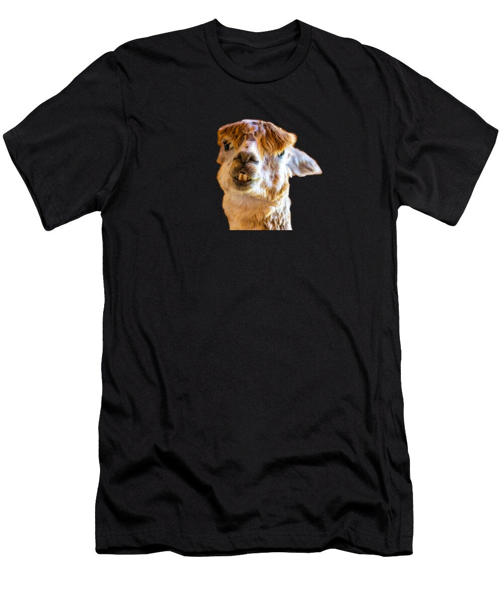 Alpaca What Jonny D T-Shirt