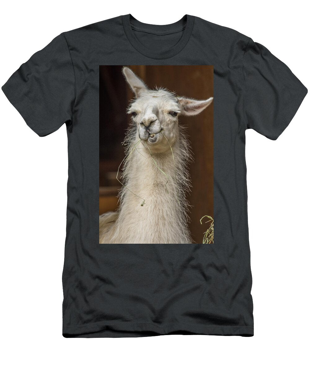 Alpaca Wiseguy Greg Nyquist T-Shirt