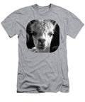 Alpacas 1 Waldcraft Studio T-Shirt