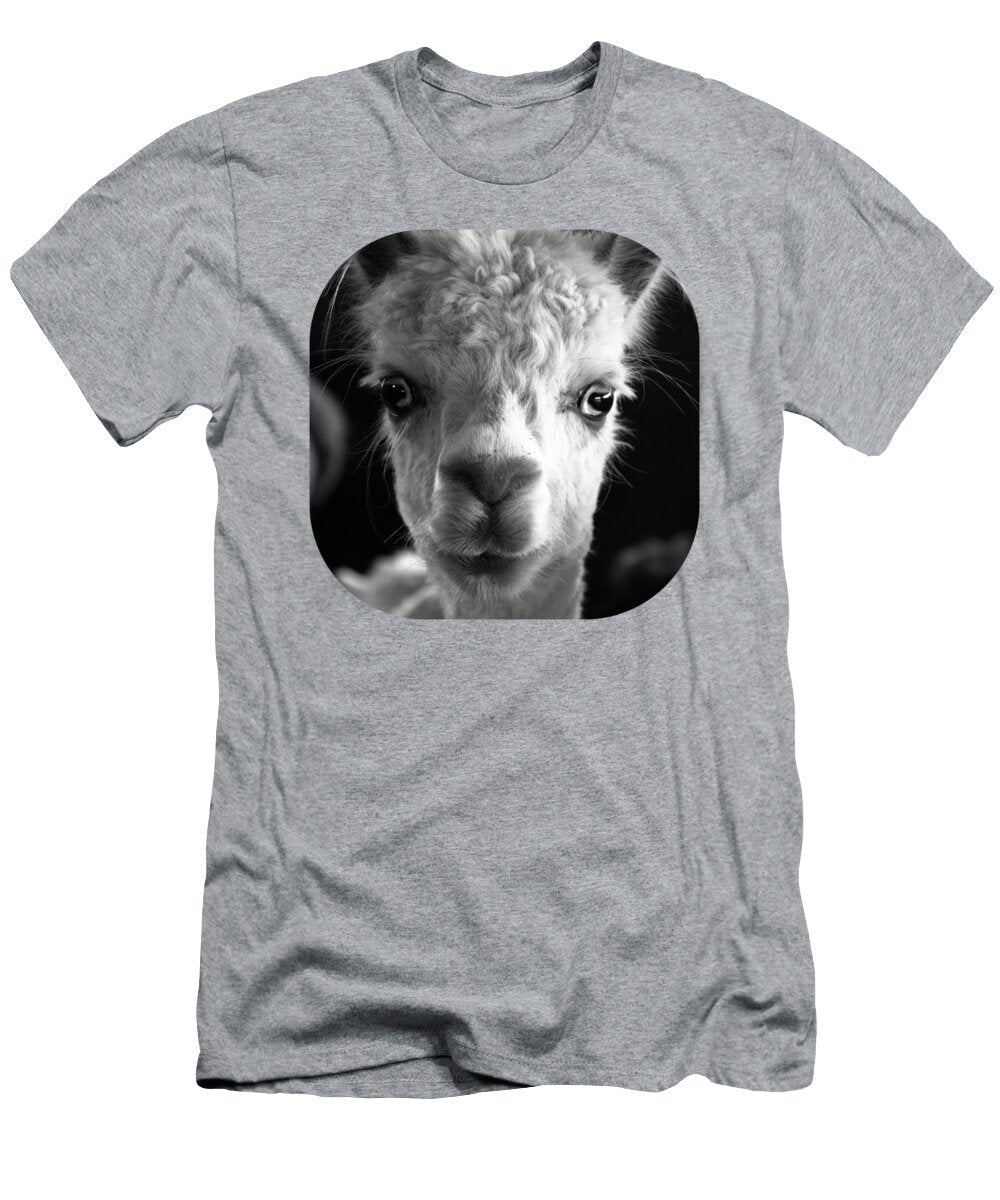 Alpacas 1 Waldcraft Studio T-Shirt
