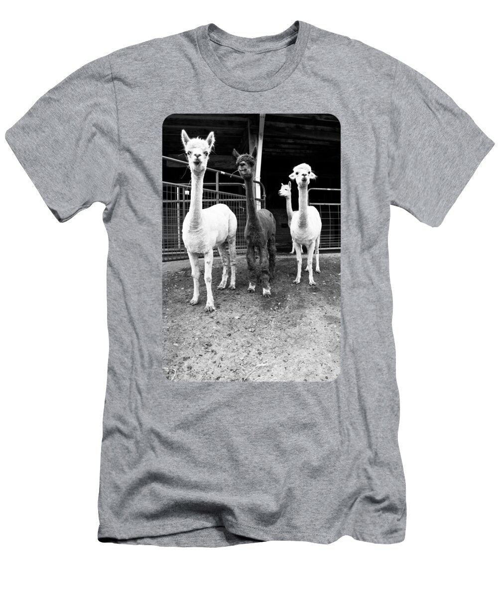 Alpacas 3 Waldcraft Studio T-Shirt