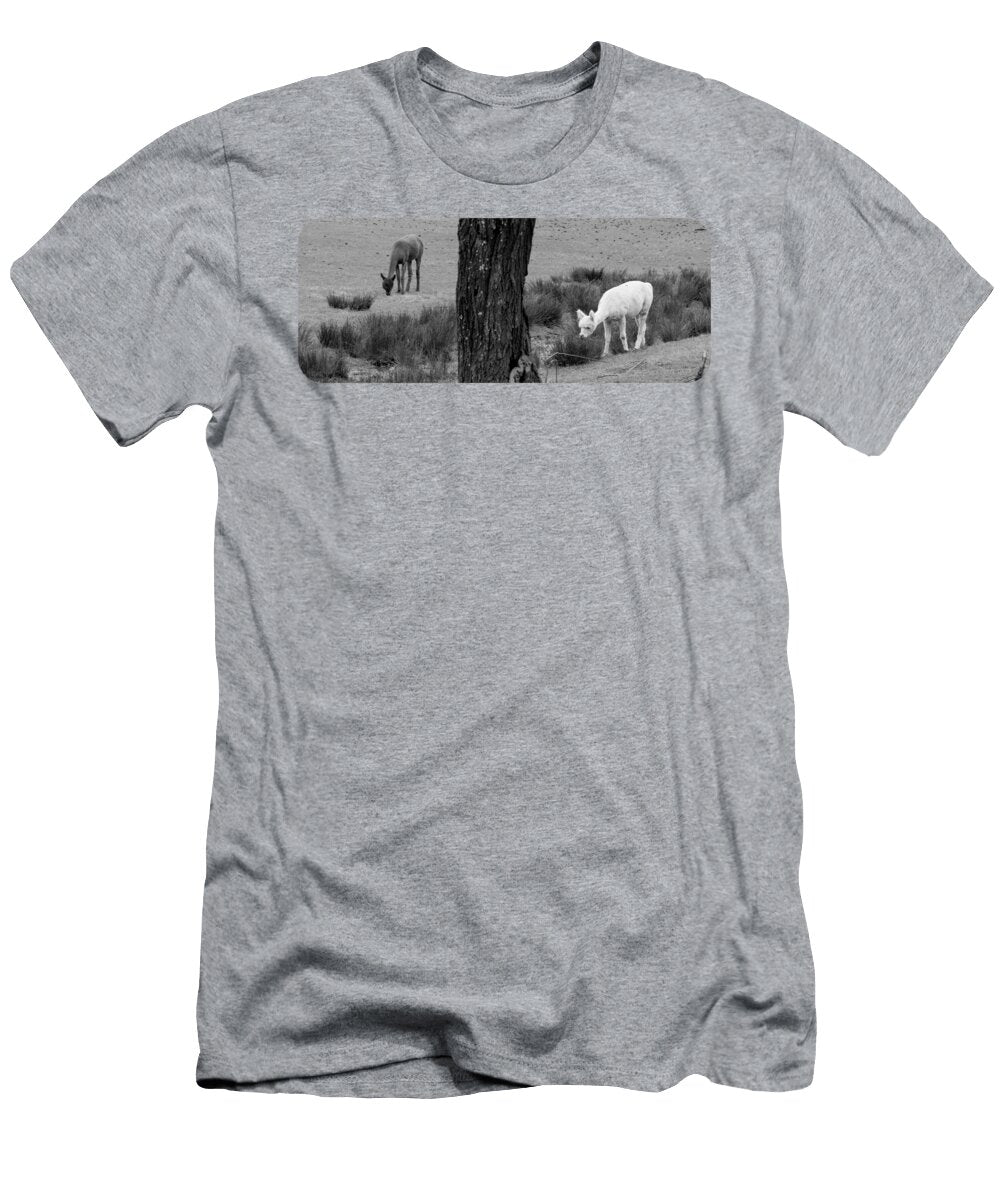 Alpacas 4 Waldcraft Studio T-Shirt