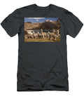 Alpacas Above Laguna Viconga Andes Peru Colin Monteath T-Shirt