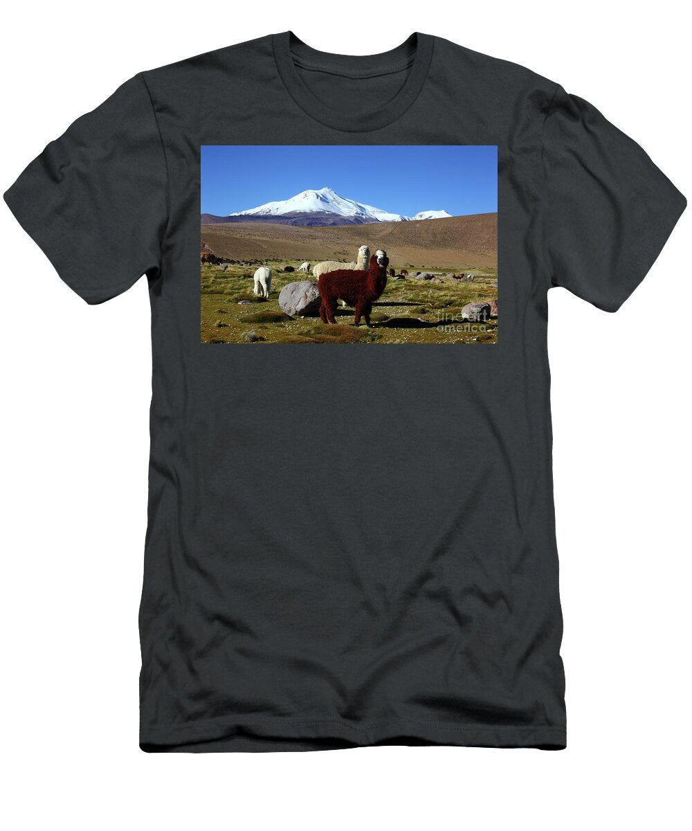 Alpacas and Guallatiri Volcano Chile James Brunker T-Shirt