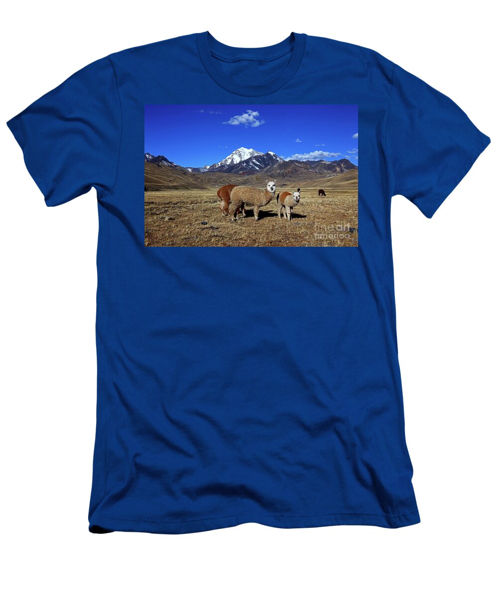 Alpacas and Mt Huayna Potosi Bolivia James Brunker T-Shirt