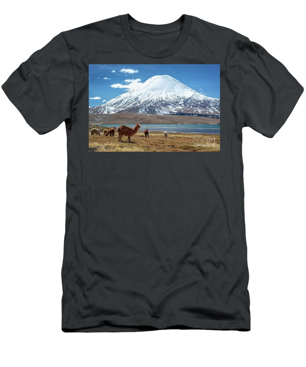 Alpacas and Volcano Chile Delphimages Photo Creations T-Shirt