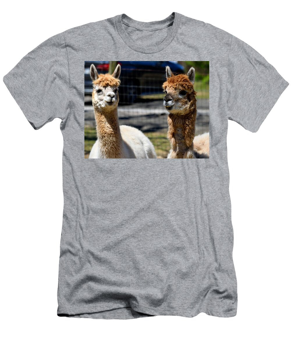Alpacas Background Les Classics T-Shirt