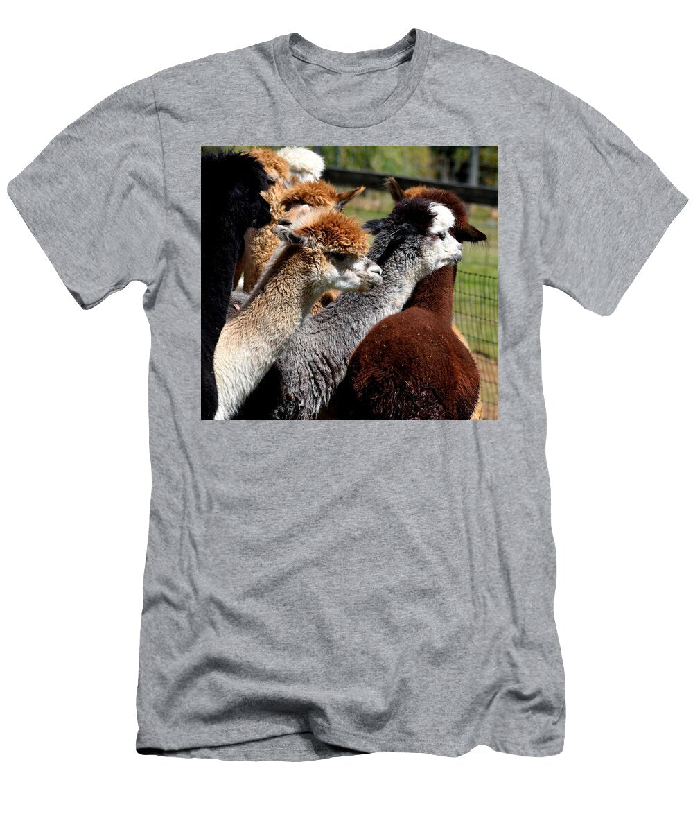Alpacas Background N7 Les Classics T-Shirt