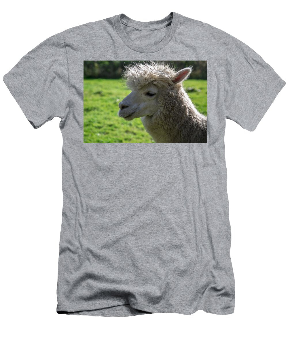 Alpacas C7 Les Classics T-Shirt