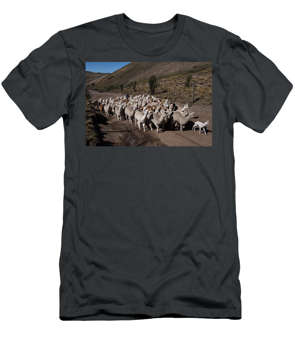 Alpacas Going to Pasture Pulingue San Pablo Community Pete Oxford Natureplcom T-Shirt
