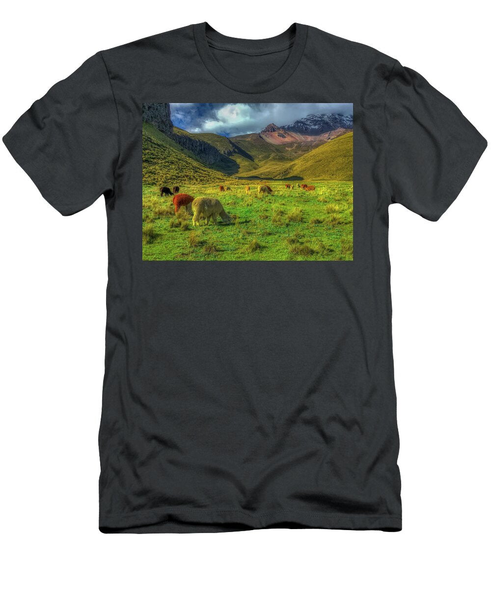Alpacas Grazing Pixabay T-Shirt