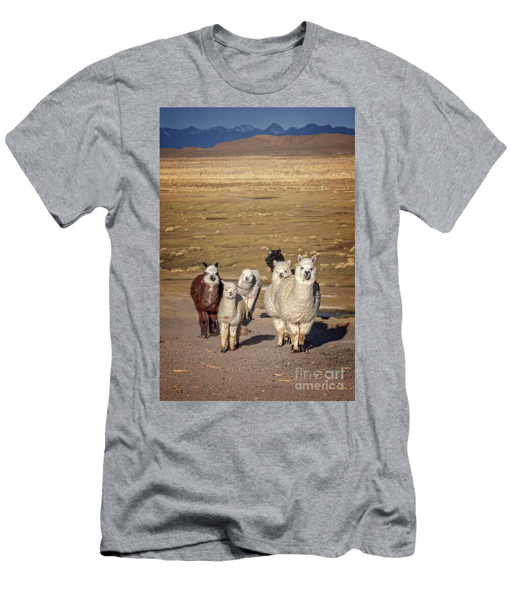 Alpacas in Bolivia Delphimages Photo Creations T-Shirt