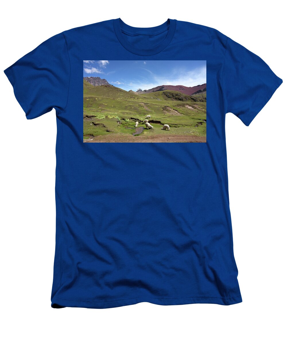 Alpacas in Painted Landscape Aidan Moran T-Shirt