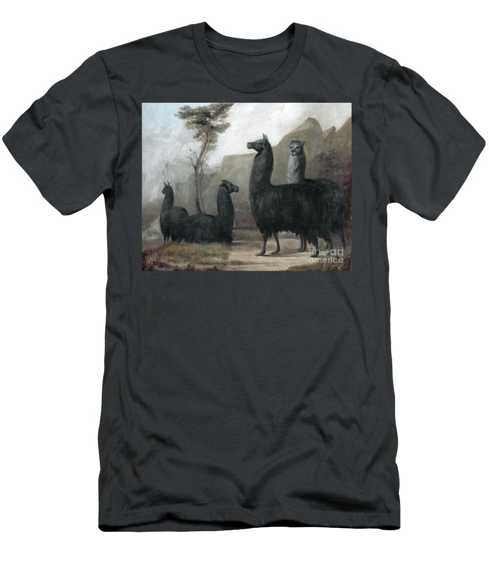 Alpacas Jacques Laurent Agasse T-Shirt