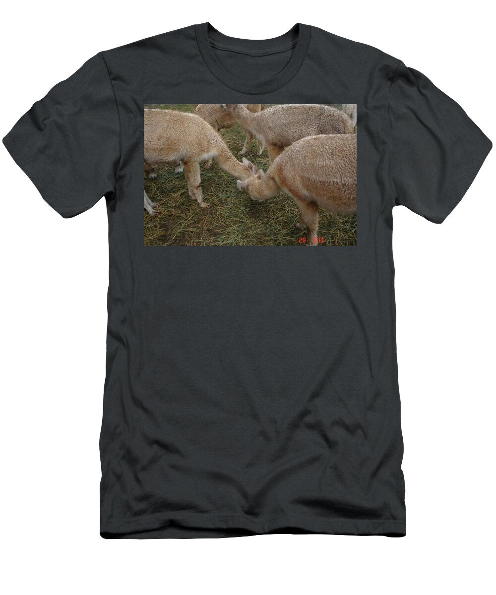 Alpacas K2 Les Classics T-Shirt