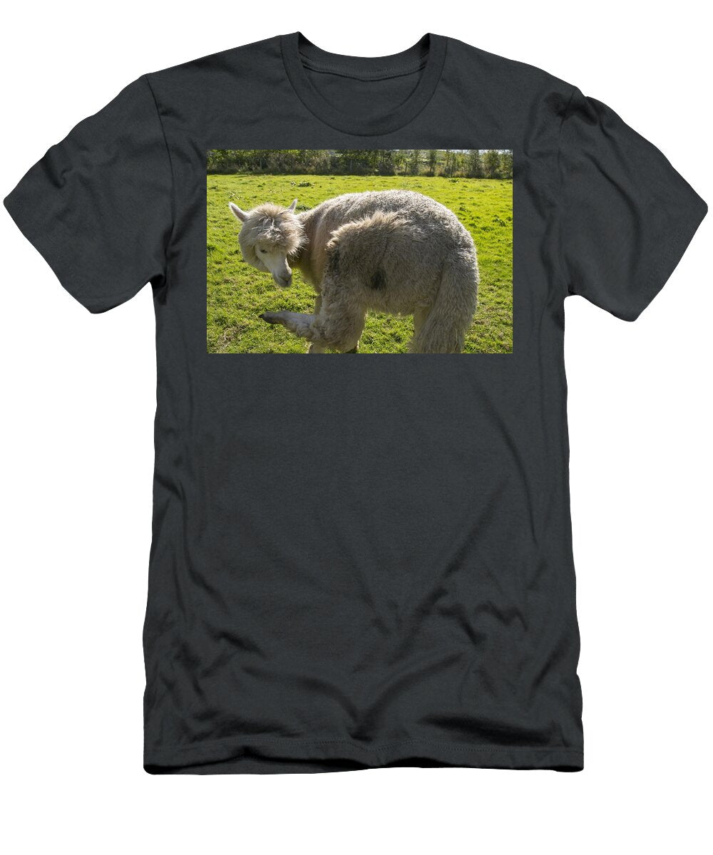 Alpacas L7 Les Classics T-Shirt