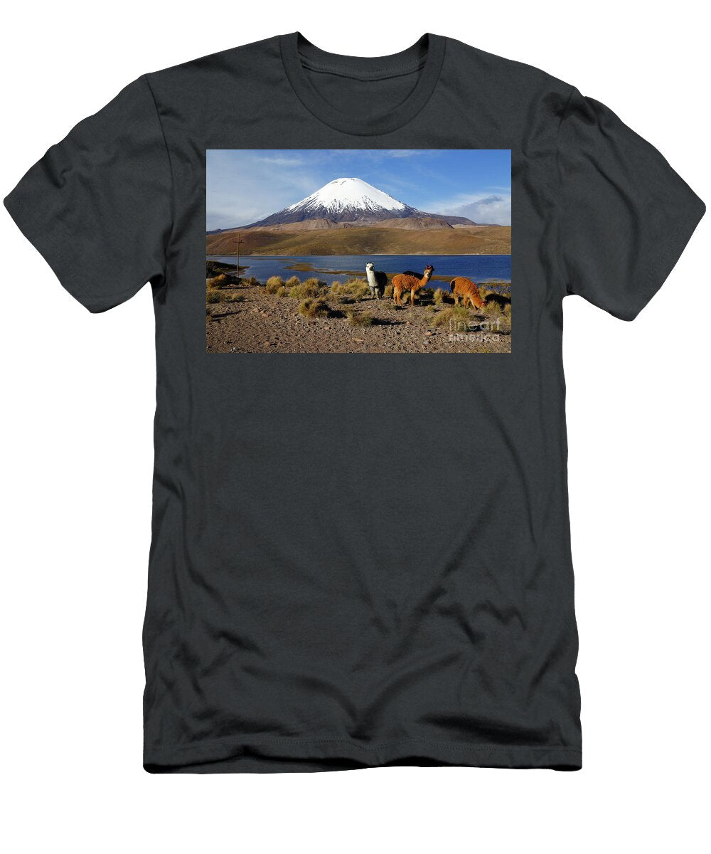Alpacas Lake Chungara and Parinacota Volcano Chile James Brunker T-Shirt