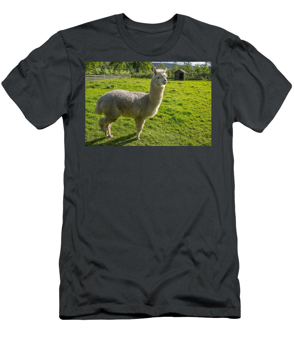 Alpacas Les Classics T-Shirt