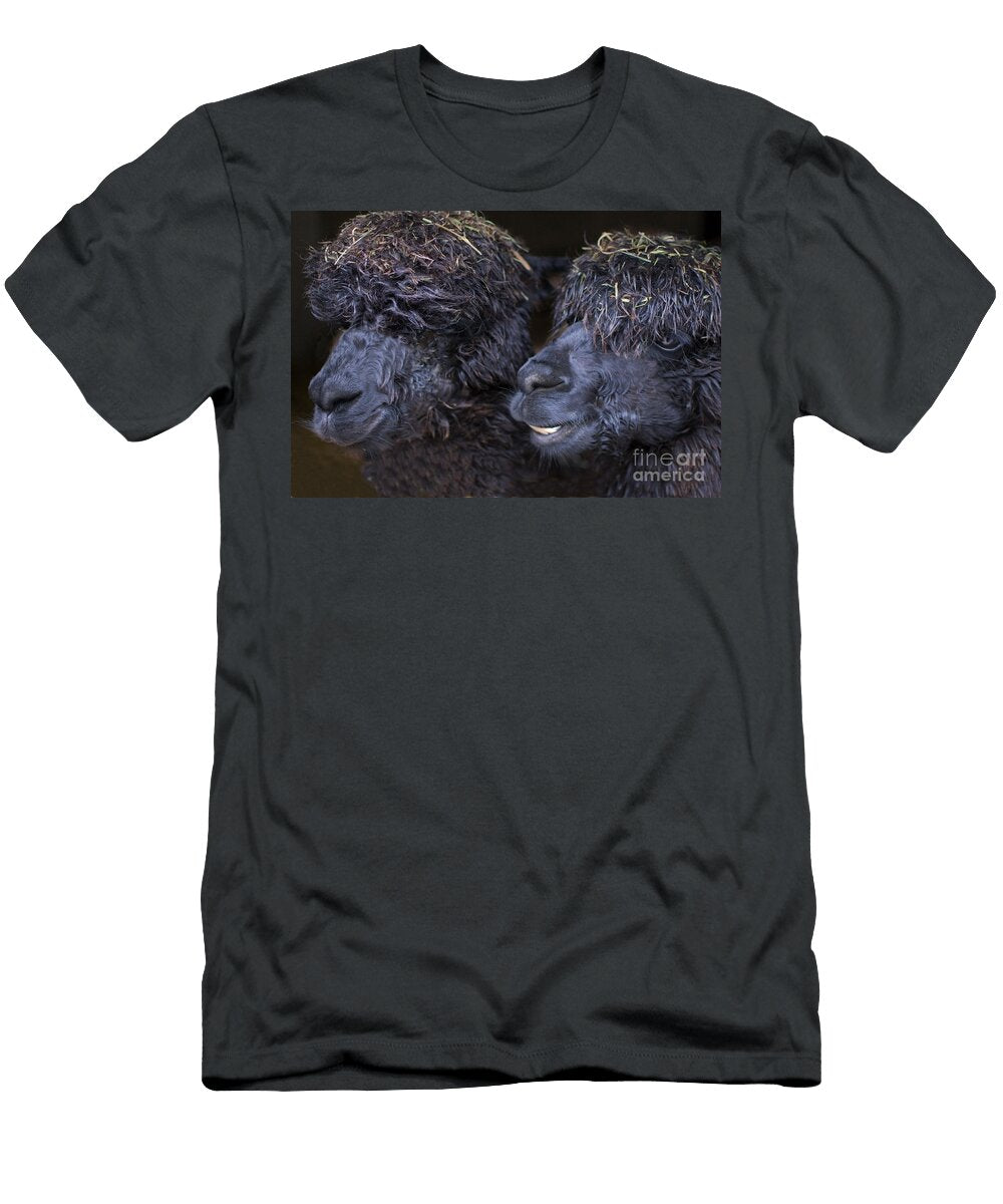 Alpacas Linsey Williams T-Shirt