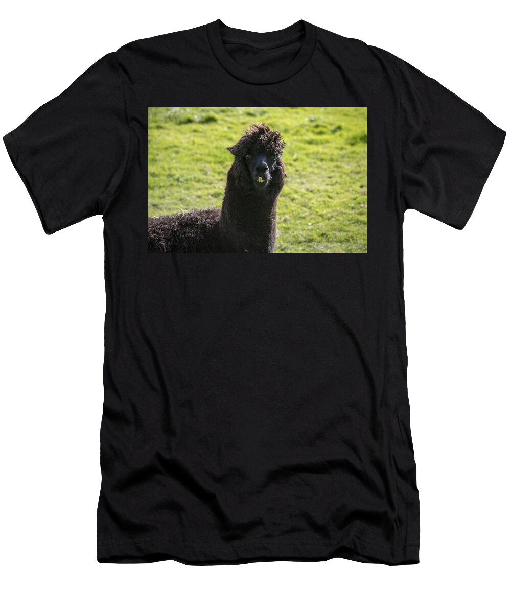 Alpacas O9 Les Classics T-Shirt