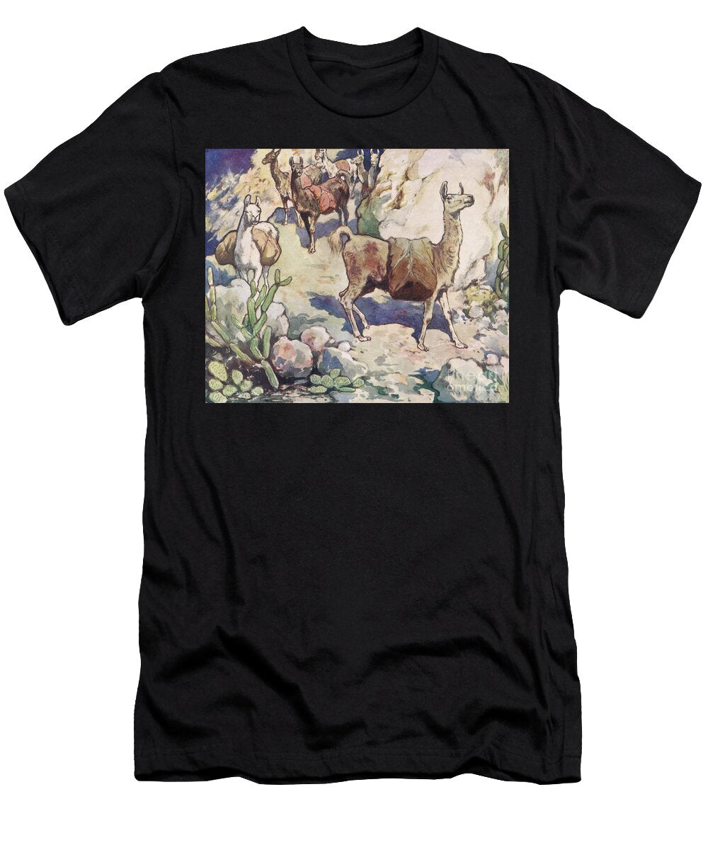 Alpacas on a Mountain Path Illustration From Helpers Without Hands By Gladys Davidson Published in 1919 John Edwin Noble T-Shirt