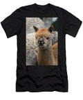 Alpacas Pulingue San Pablo Community Chimborazo Province Pete Oxford Natureplcom T-Shirt
