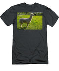 Alpacas S9 Les Classics T-Shirt