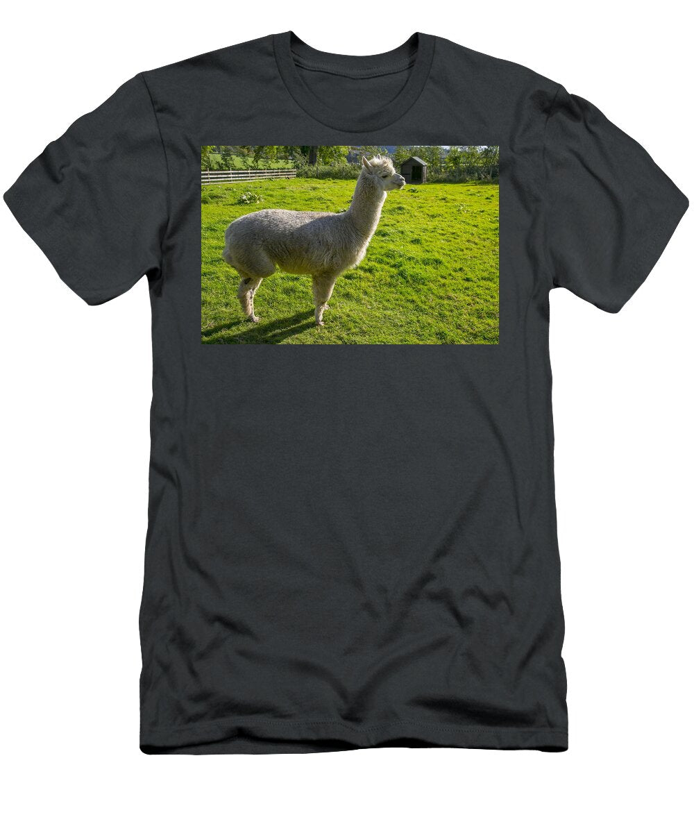 Alpacas S9 Les Classics T-Shirt