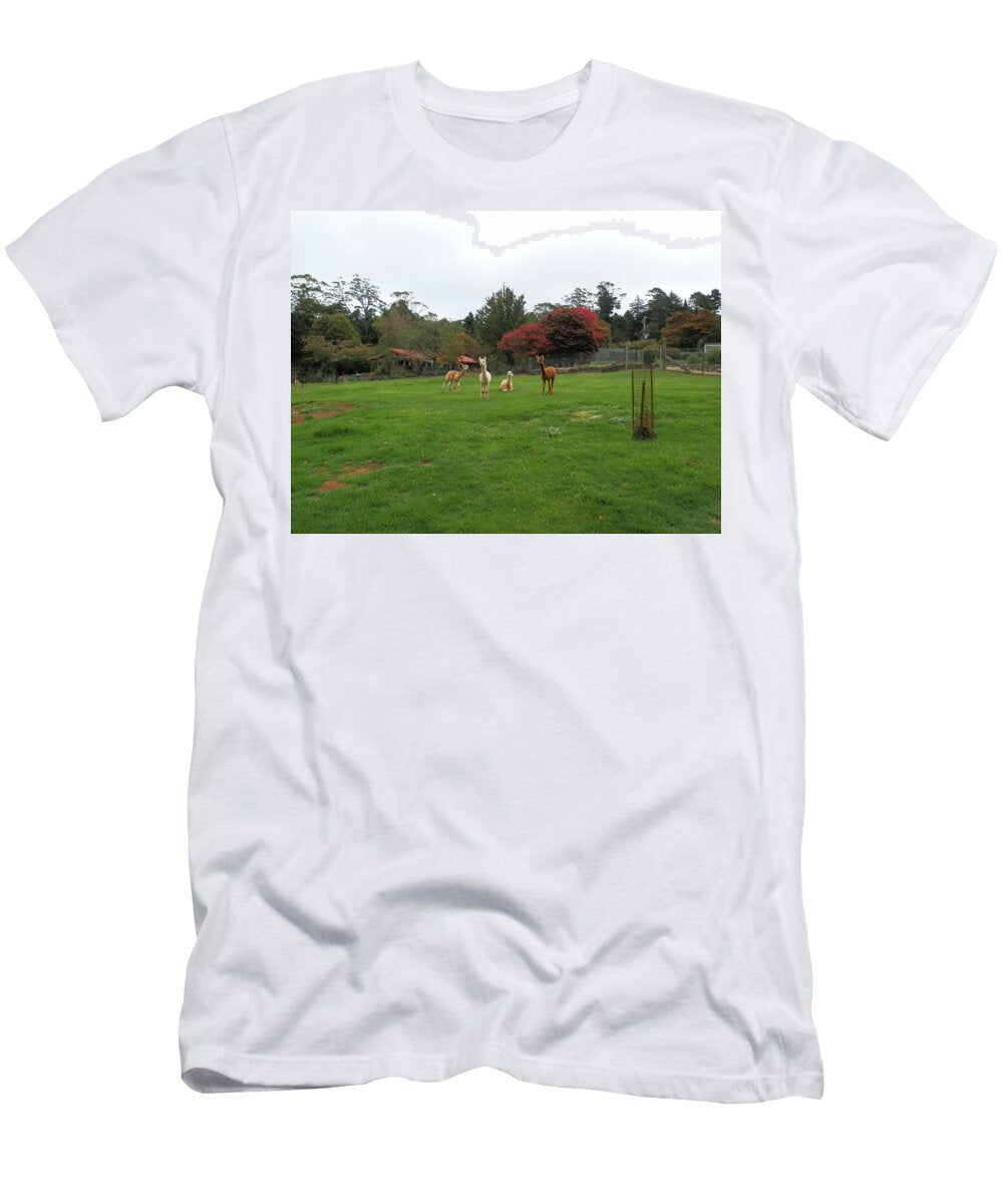 Alpacas T3 Les Classics T-Shirt