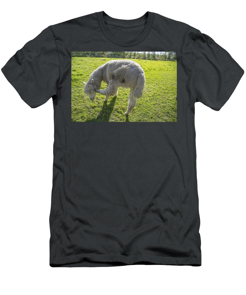 Alpacas V6 Les Classics T-Shirt