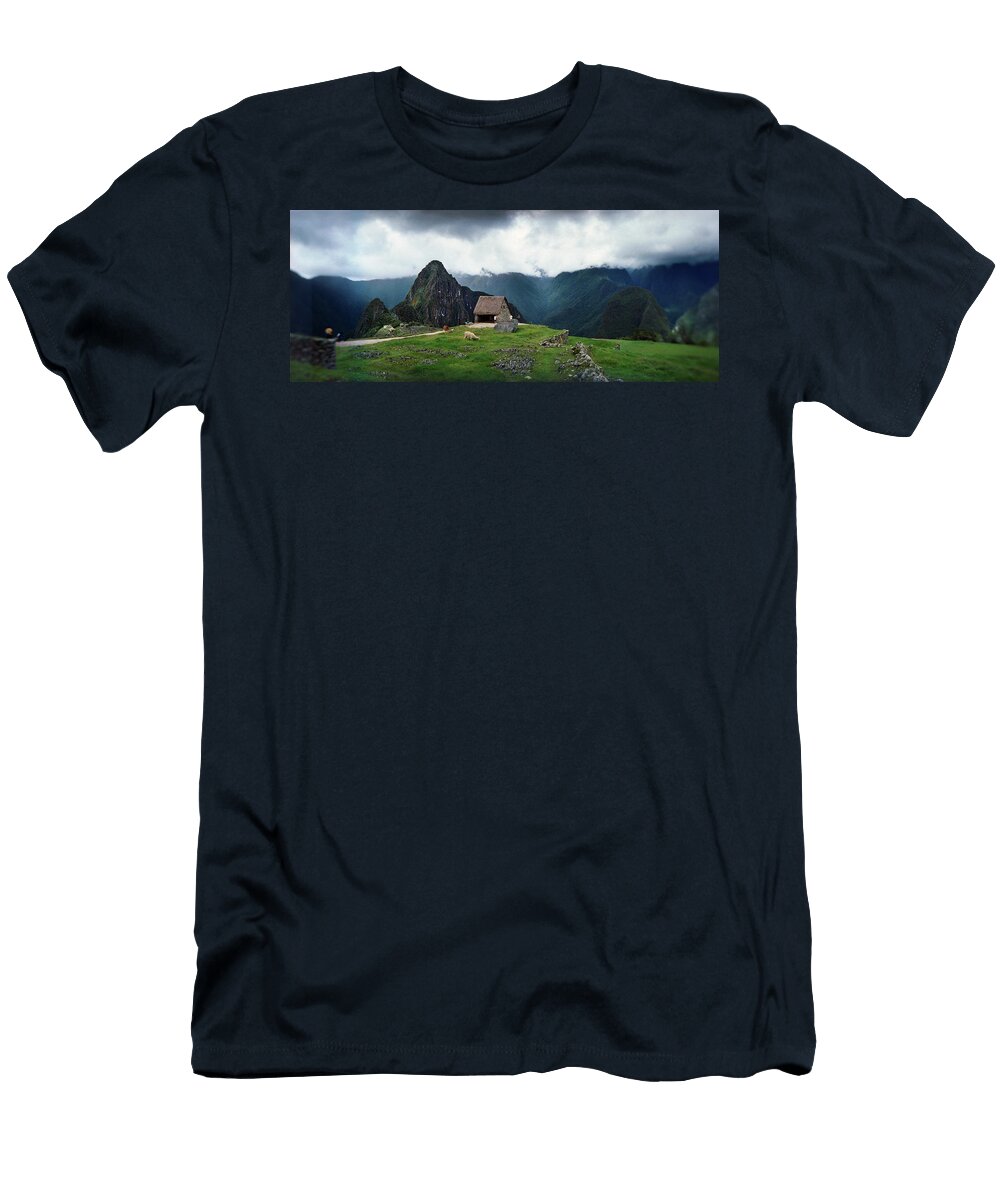 Alpacas Vicugna Pacos Grazing Animal Images T-Shirt