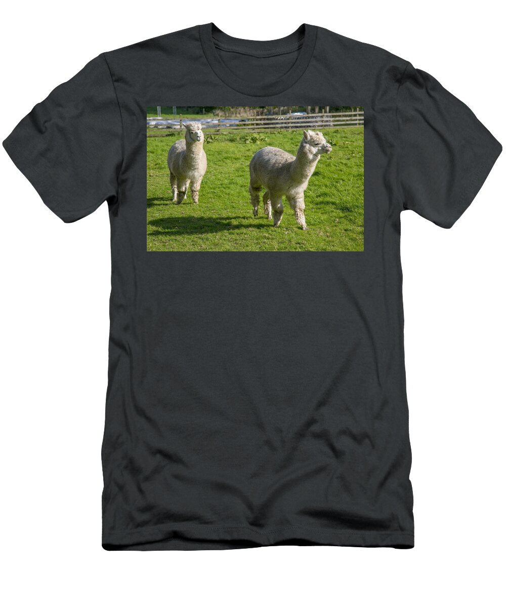 Alpacas Y2 Les Classics T-Shirt