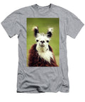 An Alpaca Vicugna Pacos Poses Todd Korol T-Shirt