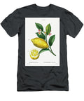 An Enlarged Version of Lemon with Leaves and a Half Cul Lemon Citrus Limonium From Traite Des Arbr Pierre Joseph Redoute T-Shirt