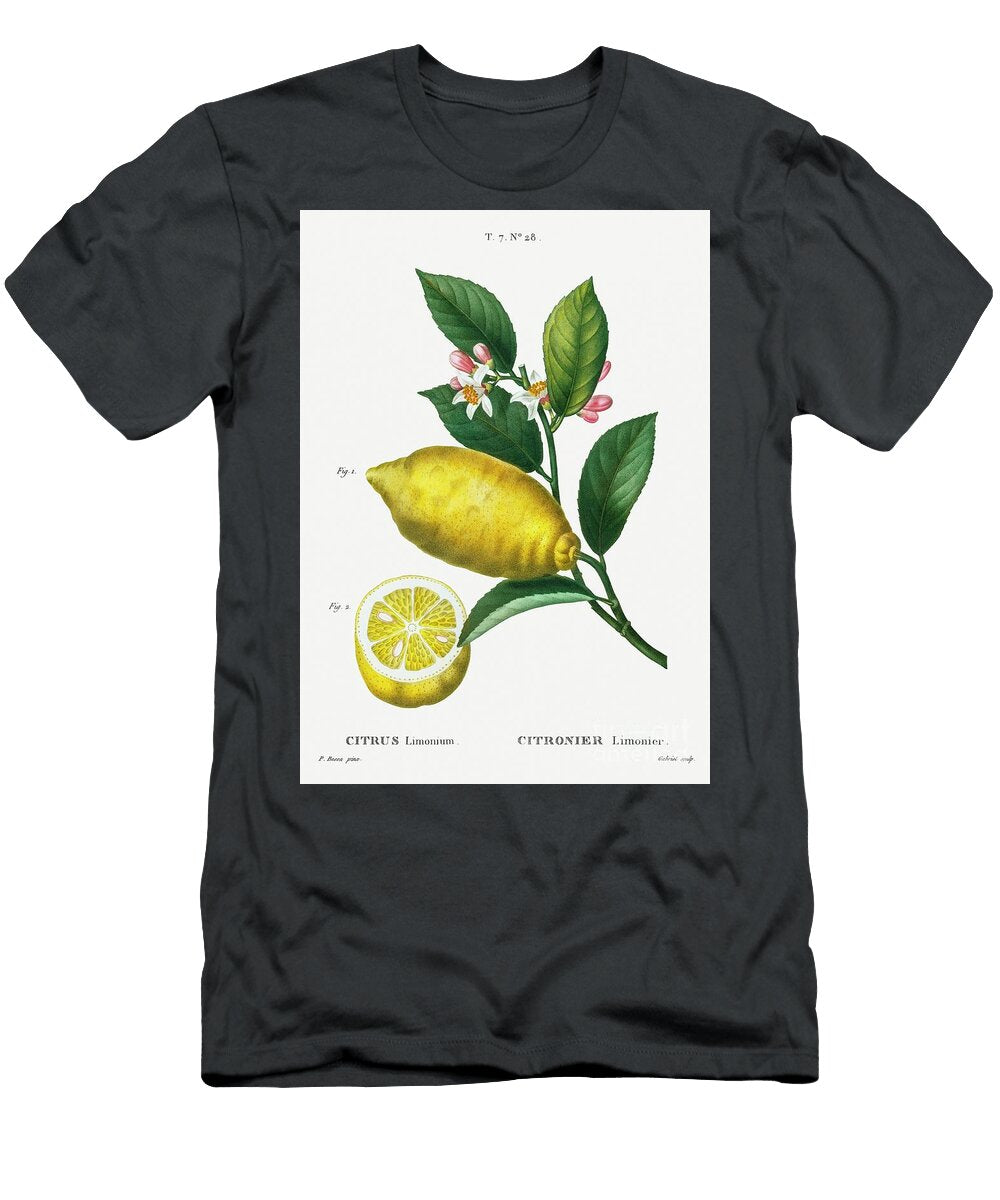 An Enlarged Version of Lemon with Leaves and a Half Cul Lemon Citrus Limonium From Traite Des Arbr Pierre Joseph Redoute T-Shirt