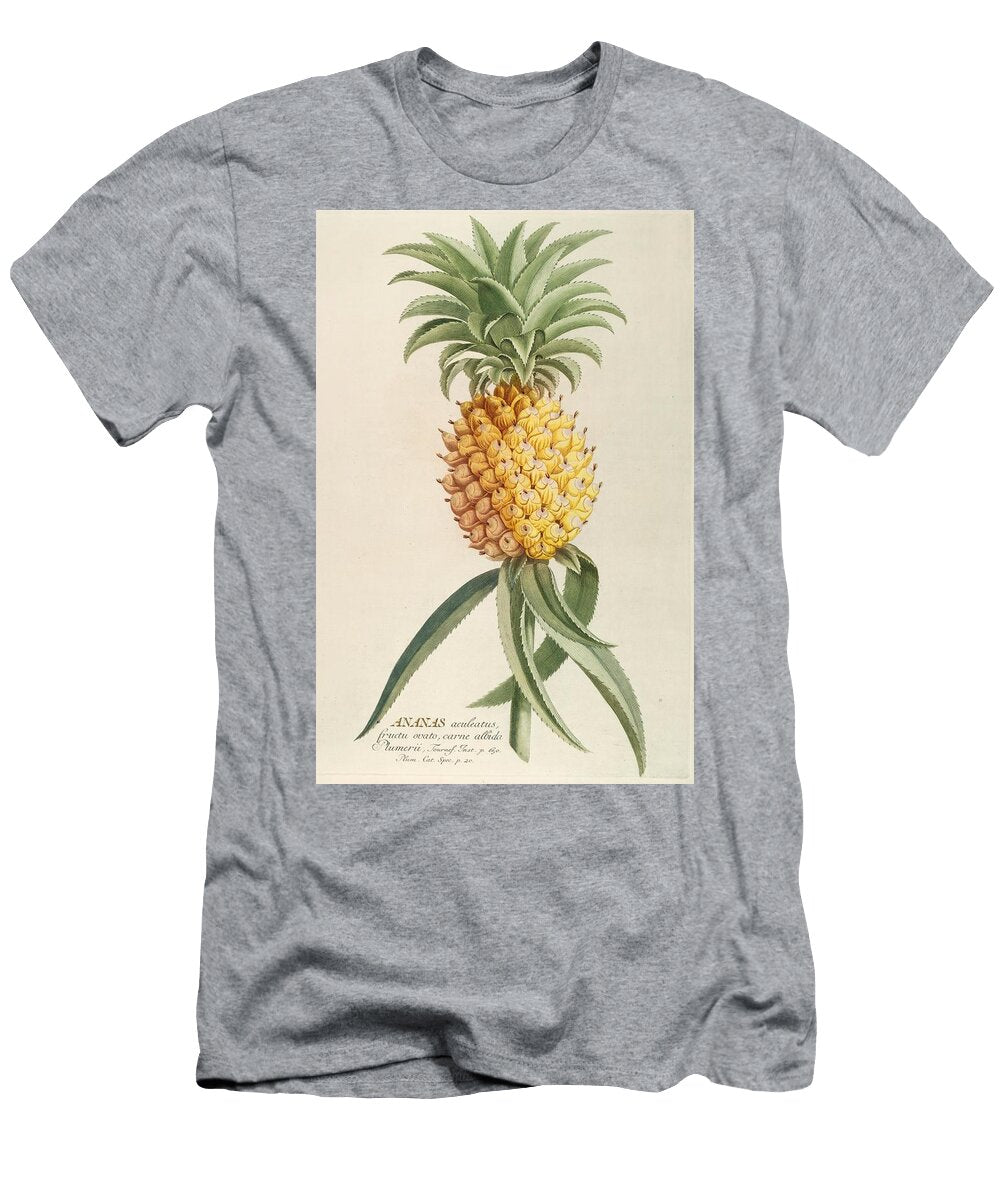 Ananas Art Georg Dionysius Ehret German T-Shirt