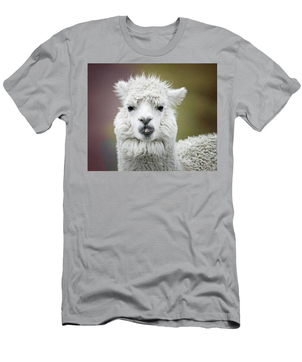 Andean Alpaca Joan Carroll T-Shirt