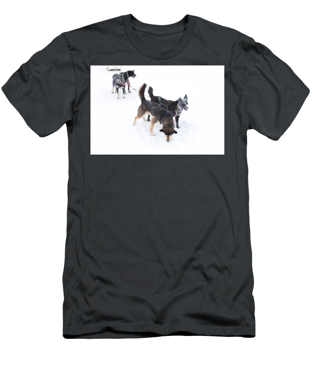 Arctic Sled Dogs 01 Richard Nixon T-Shirt