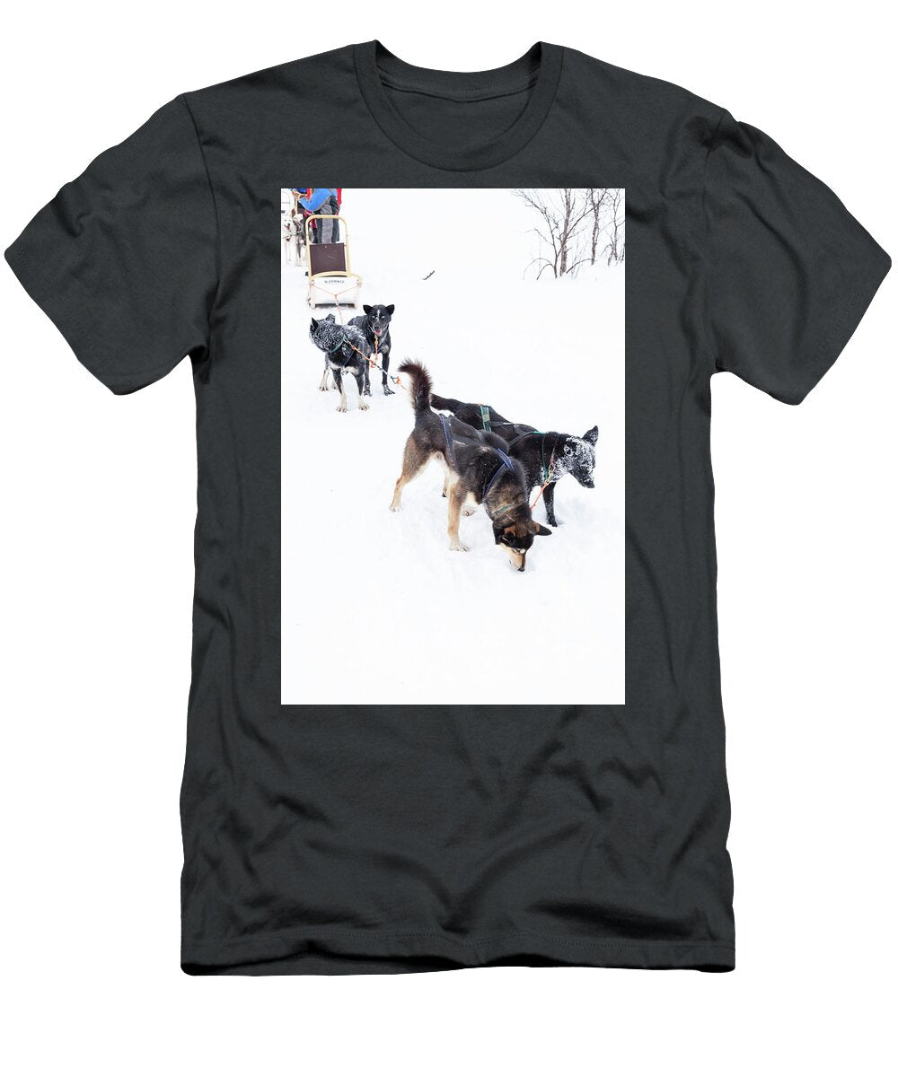 Arctic Sled Dogs 02 Richard Nixon T-Shirt