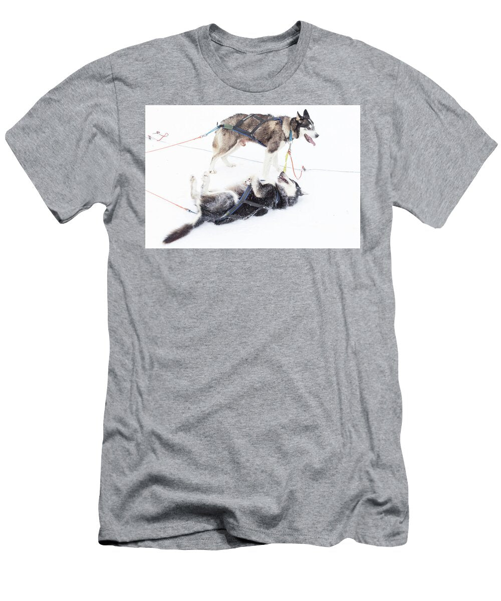 Arctic Sled Dogs 03 Richard Nixon T-Shirt