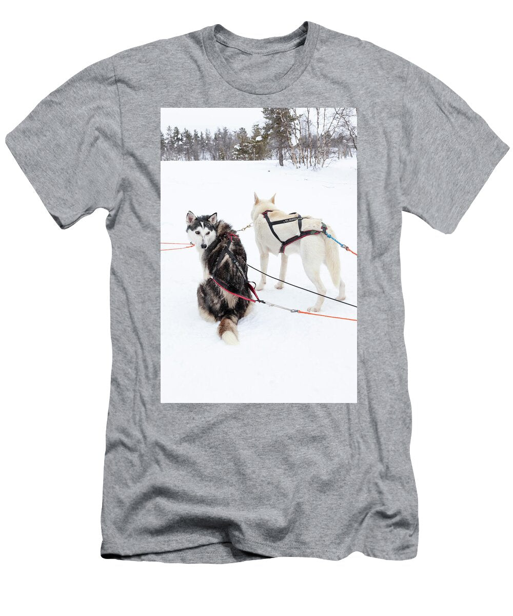 Arctic Sled Dogs 04 Richard Nixon T-Shirt