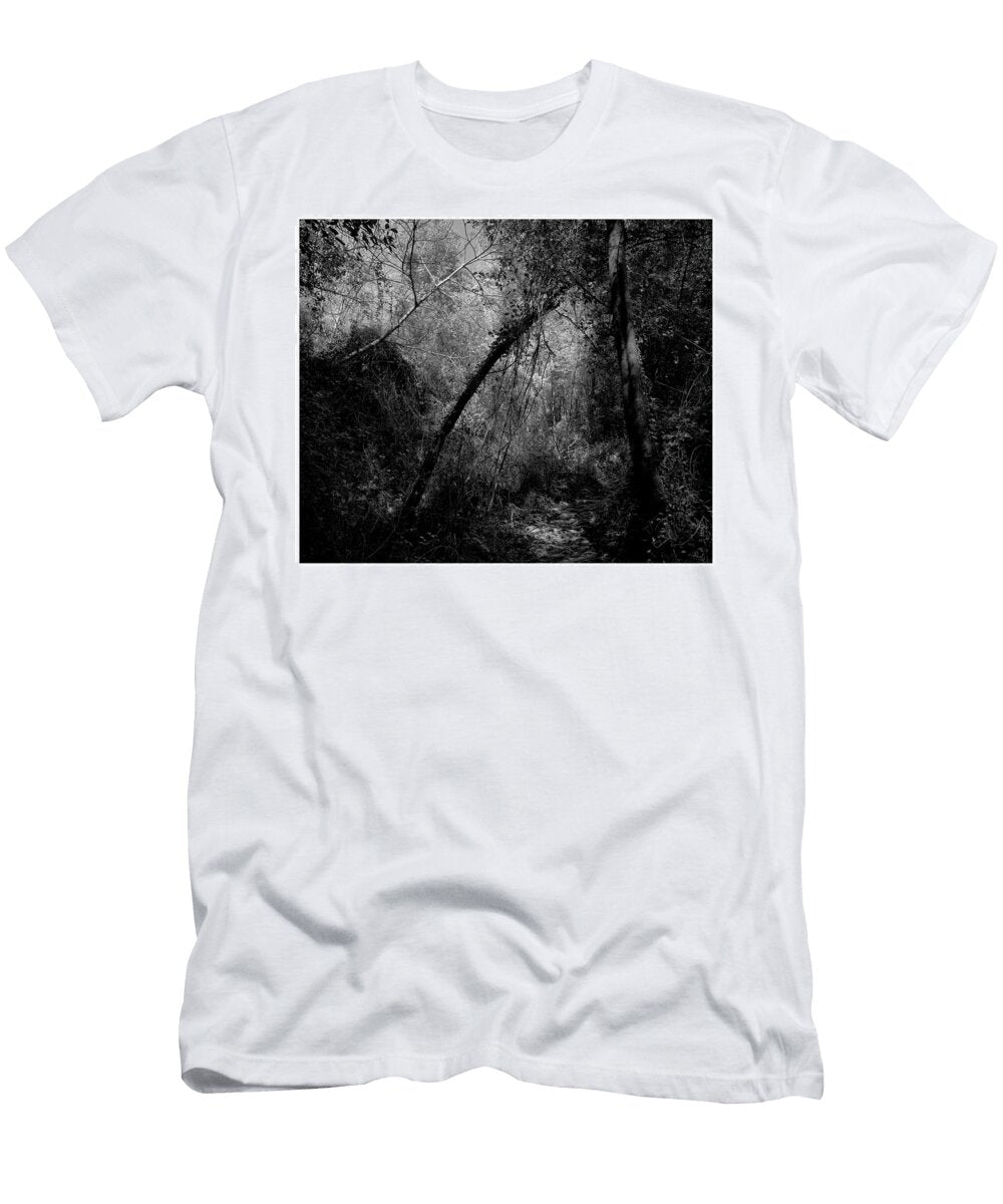 Artworkimage Medium 20452485 6063171 T-Shirt