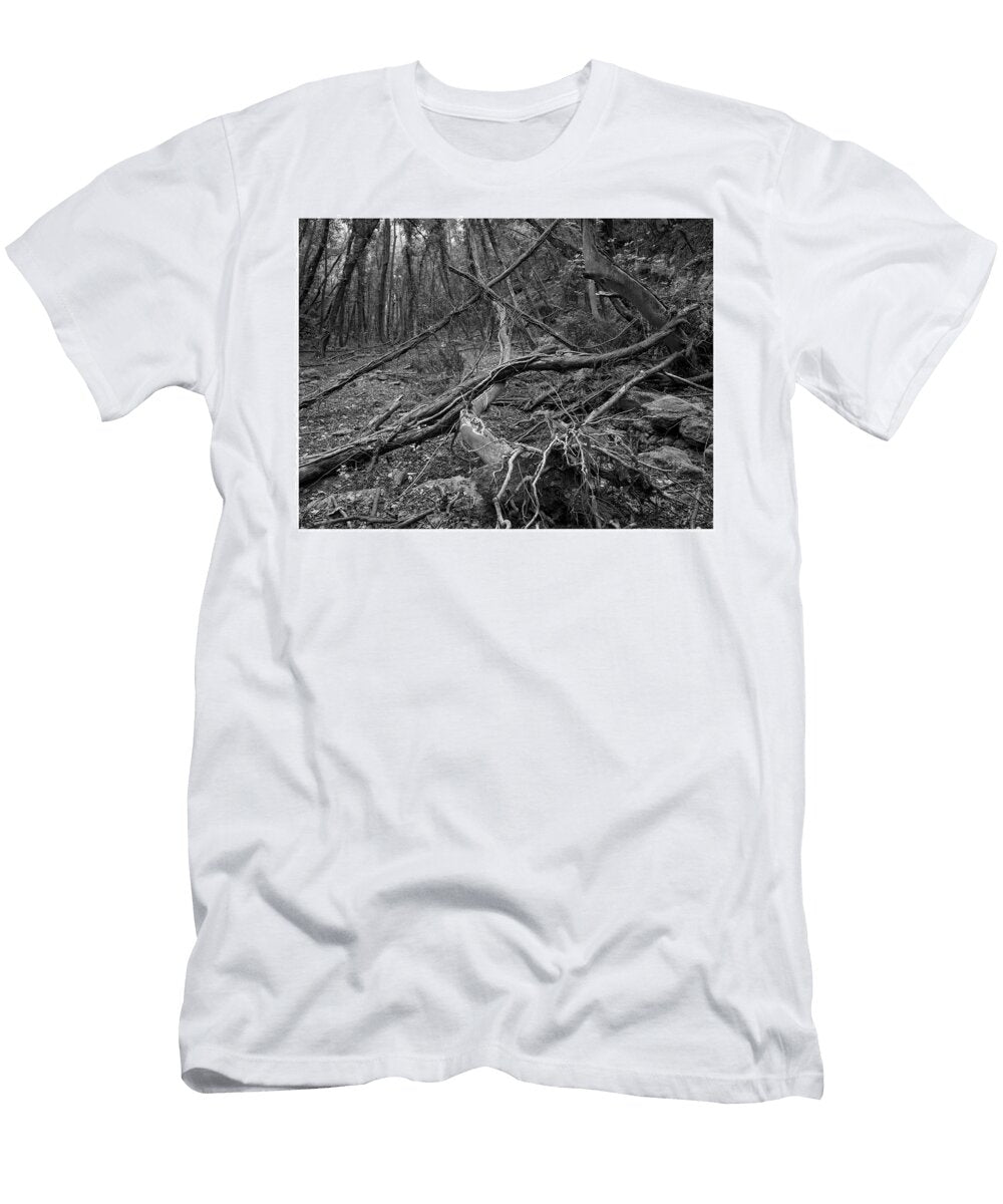 Artworkimage Medium 20686330 6047210 T-Shirt