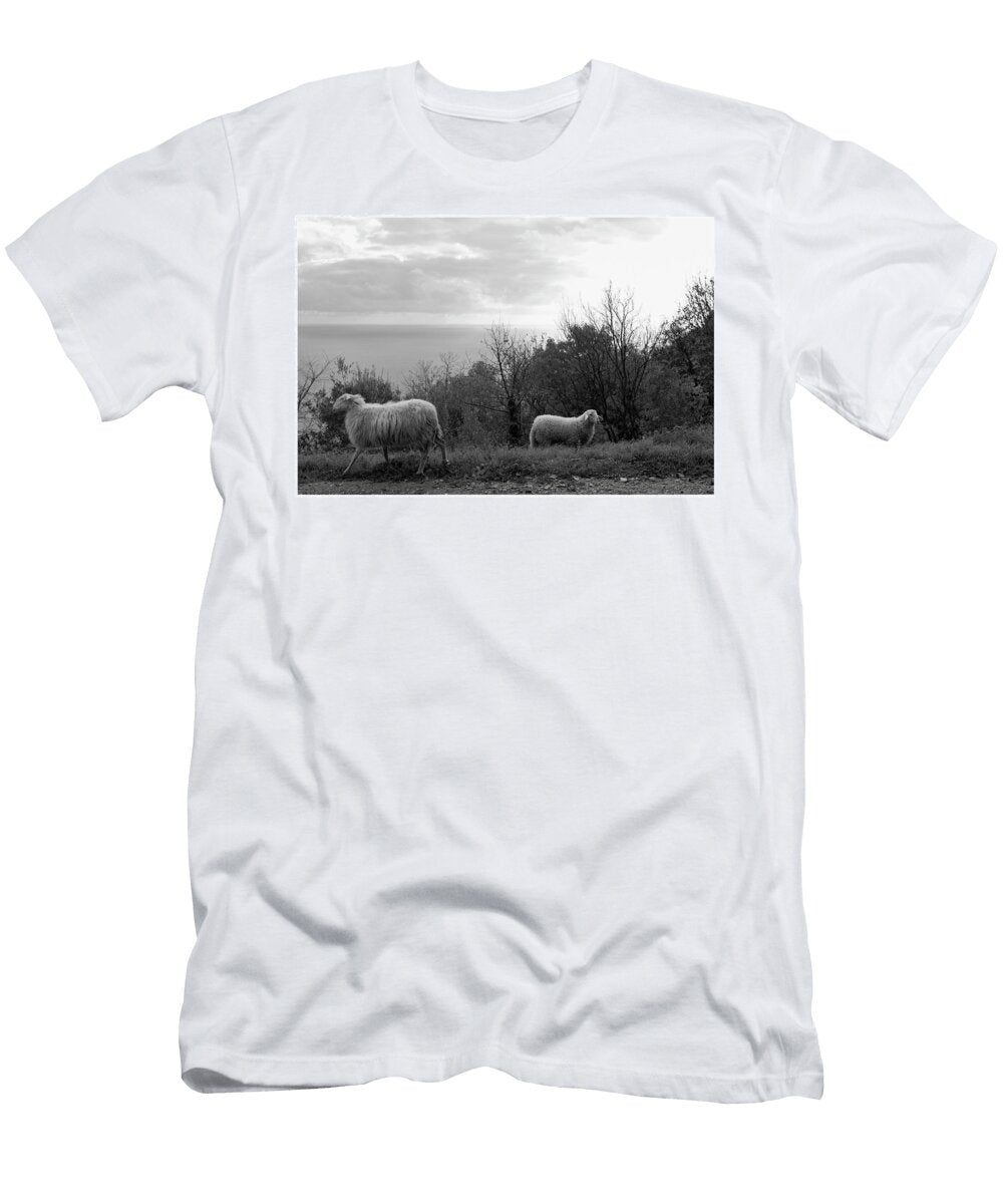 Artworkimage Medium 21391040 6790488 T-Shirt